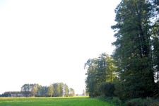 Obraz 2109